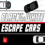Черные и белые машины